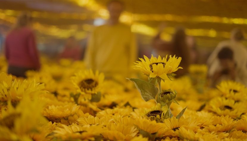 Van Gogh Alive at Winchester Science Centre Van Gogh Alive at Winchester Science Centre